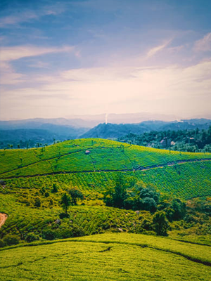 Munnar