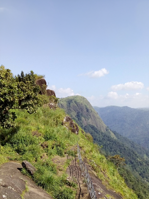 Nadukani Viewpoint