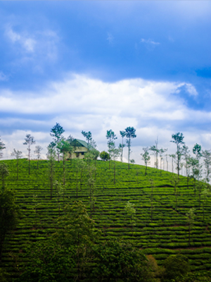 Vagamon